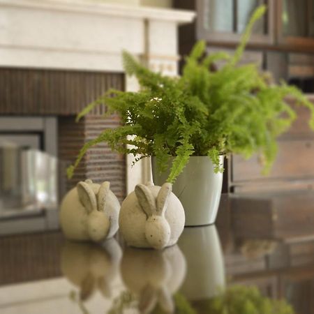 Bed and Breakfast De Gelaarsde Kat Ypres Exterior foto